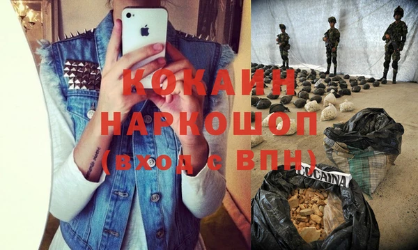 прущие грибы Богданович