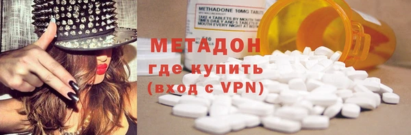 прущие грибы Богданович