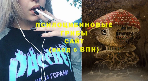 шишки Бугульма