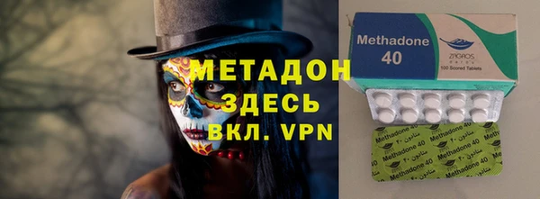 прущие грибы Богданович