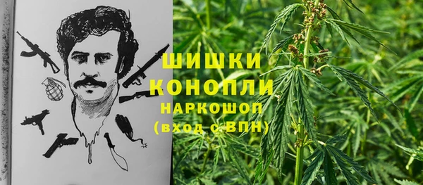 mdma Богородицк
