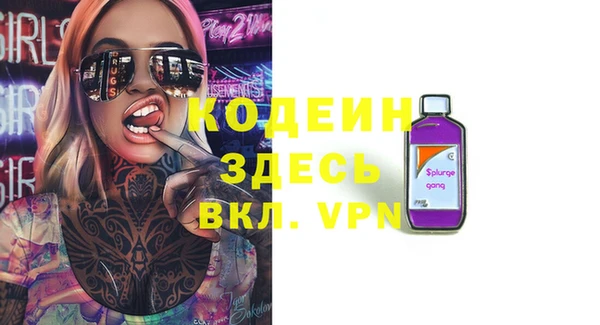 прущие грибы Богданович